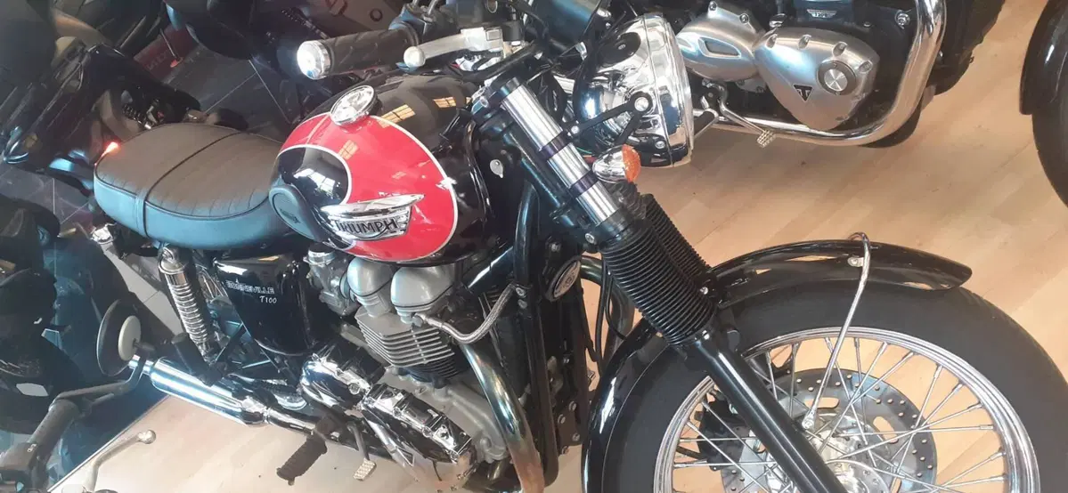 Triumph Bonneville T100 (2001 - 07) (7)