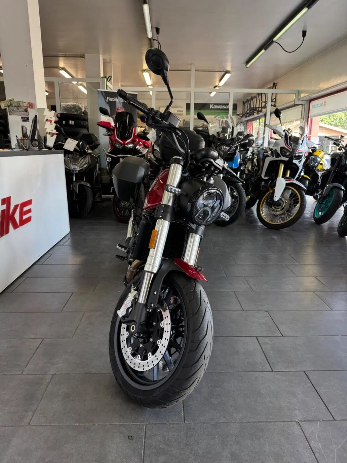 Benelli Leoncino 500 (2021 - 25) (3)