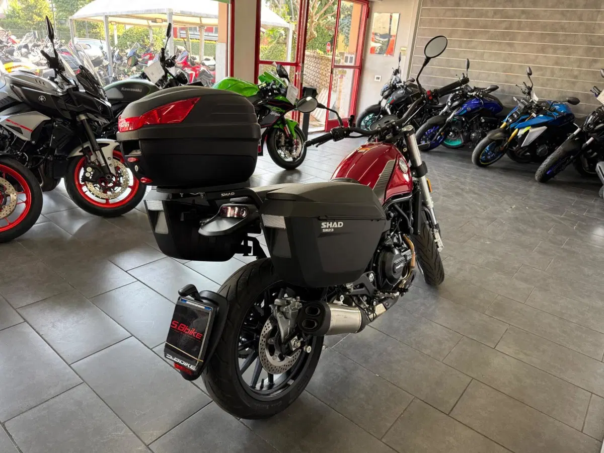 Benelli Leoncino 500 (2021 - 25) (5)