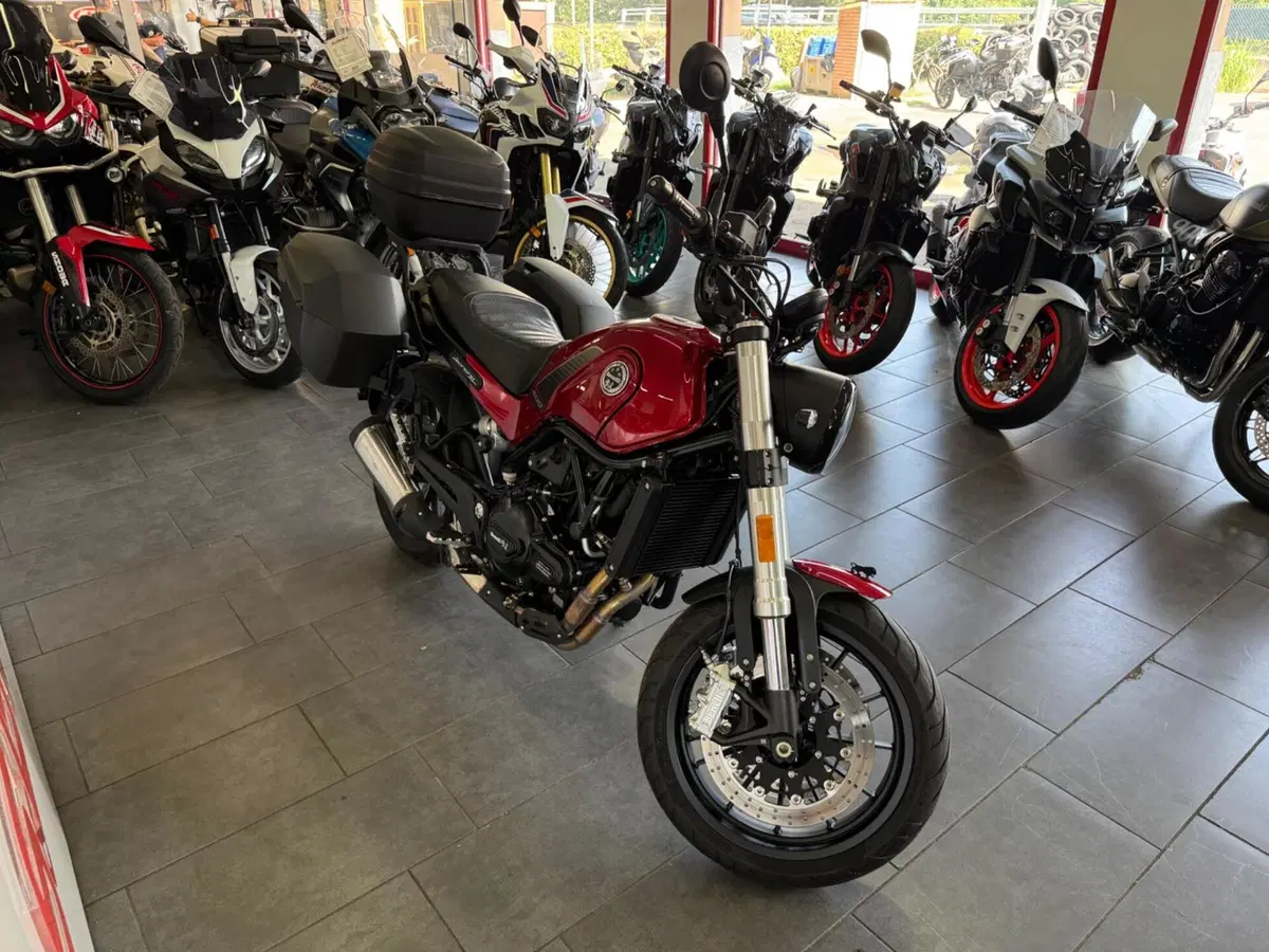 Benelli Leoncino 500 (2021 - 25) (6)