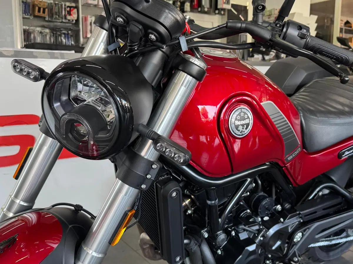 Benelli Leoncino 500 (2021 - 25) (7)