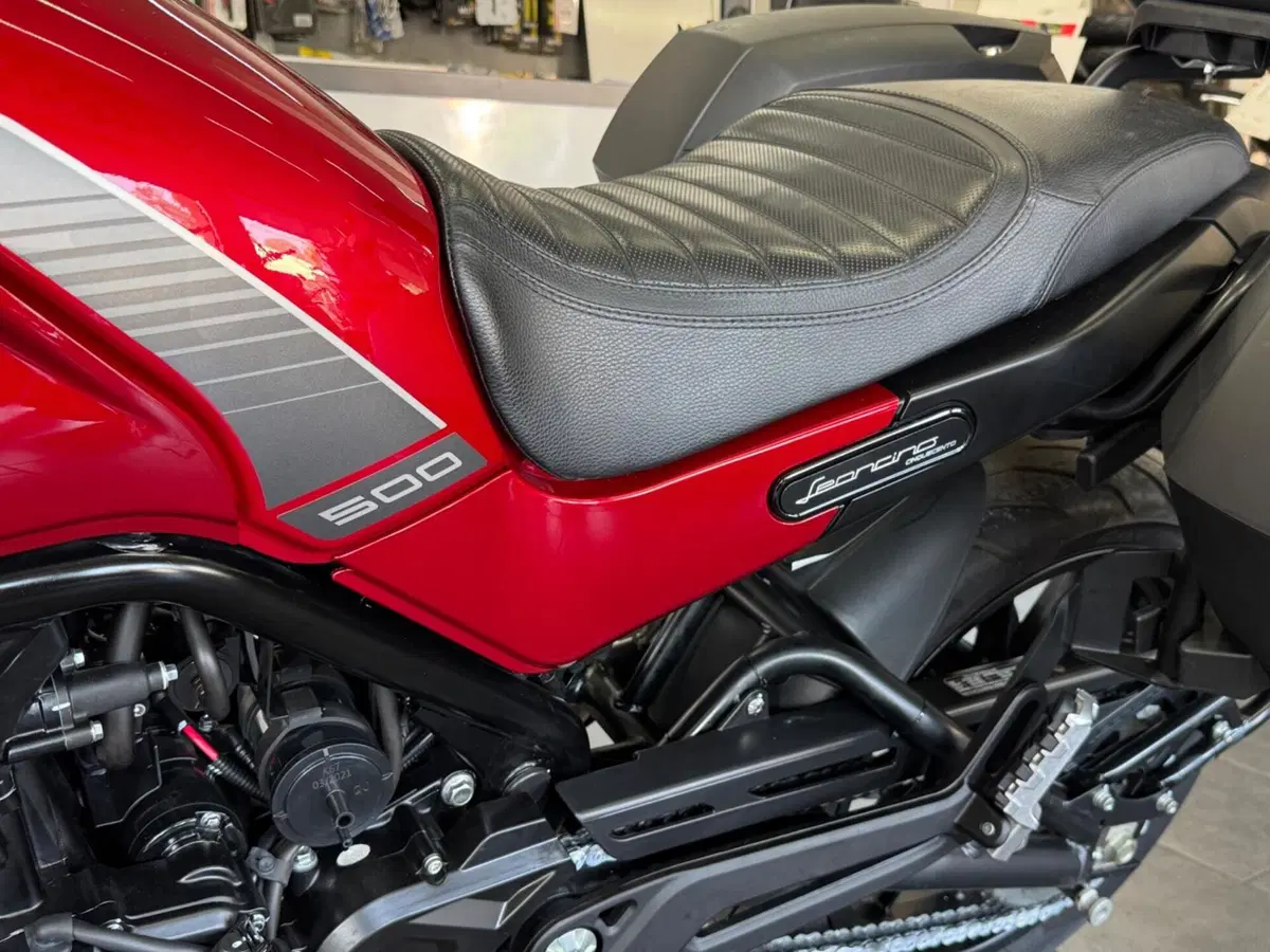 Benelli Leoncino 500 (2021 - 25) (8)