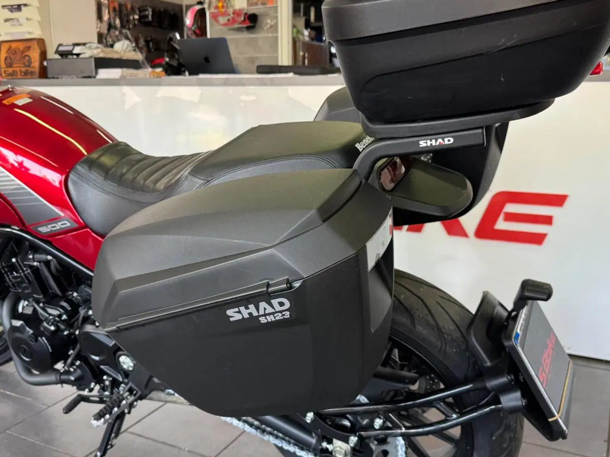 Benelli Leoncino 500 (2021 - 25) (9)