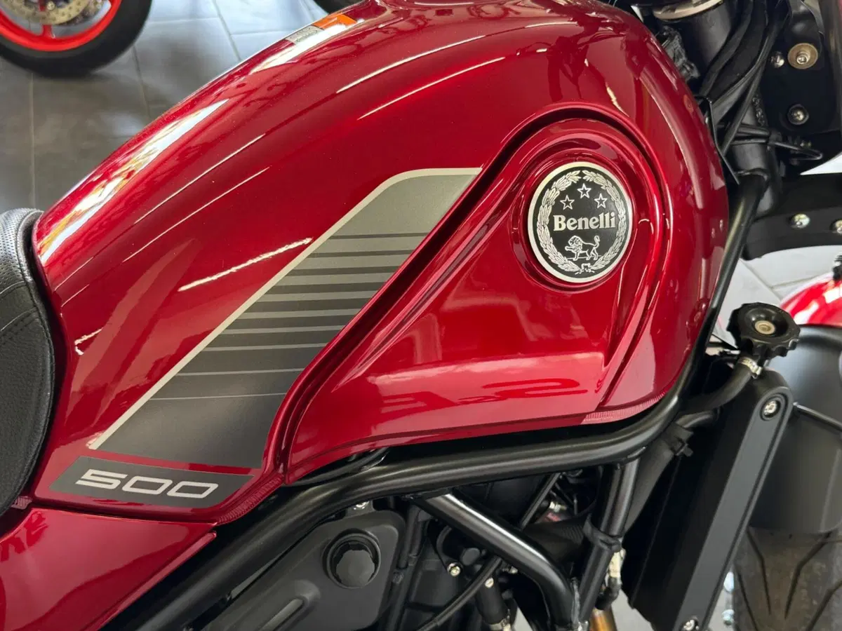 Benelli Leoncino 500 (2021 - 25) (10)