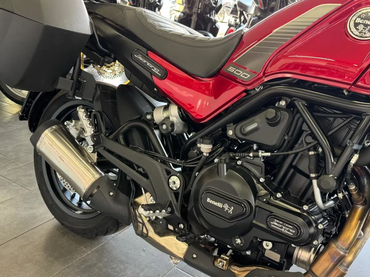 Benelli Leoncino 500 (2021 - 25) (11)