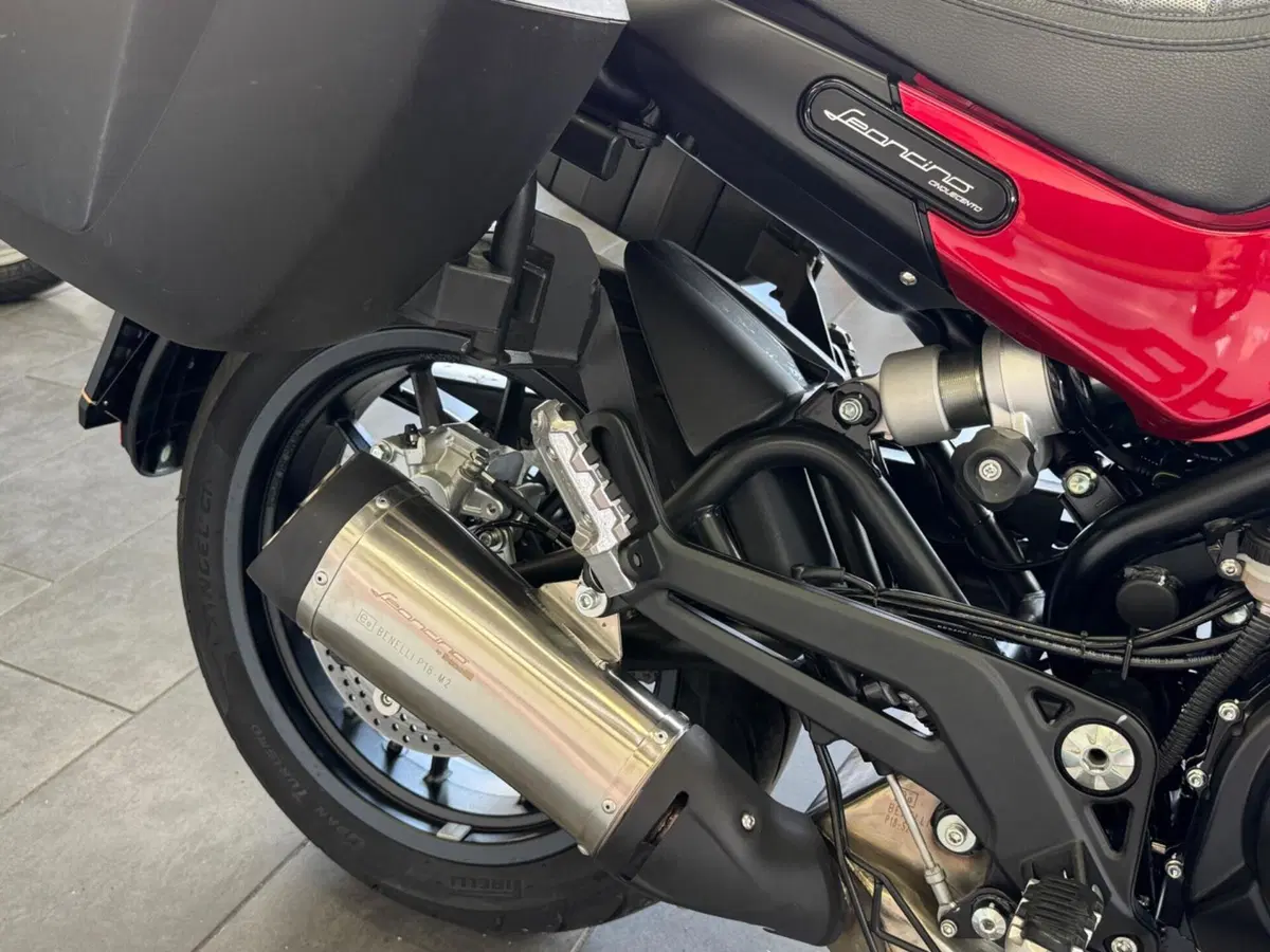 Benelli Leoncino 500 (2021 - 25) (13)
