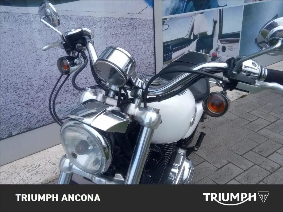 Harley-Davidson 1200 Low (2008 - 09) - XL 1200L (3)