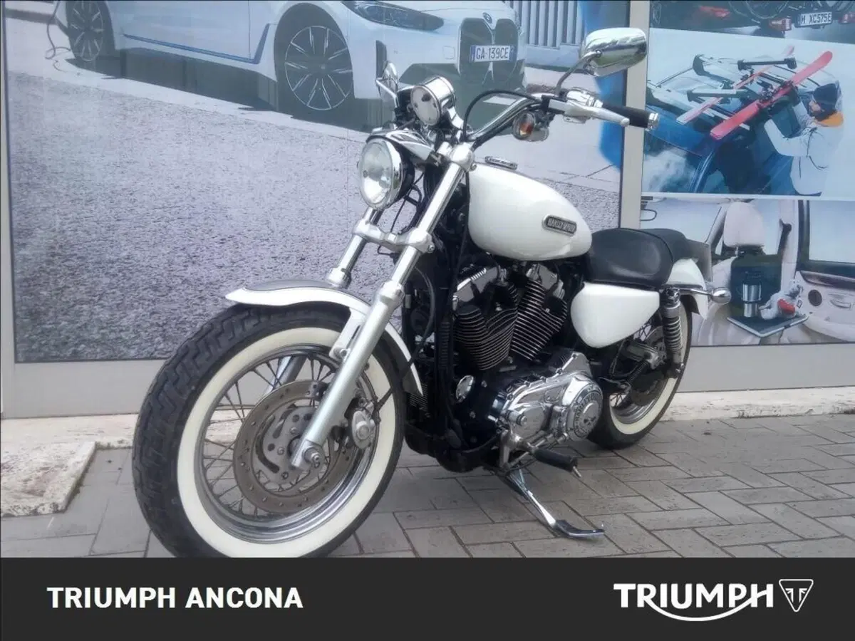 Harley-Davidson 1200 Low (2008 - 09) - XL 1200L (2)