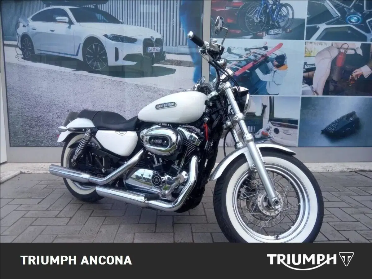 Harley-Davidson 1200 Low (2008 - 09) - XL 1200L (10)