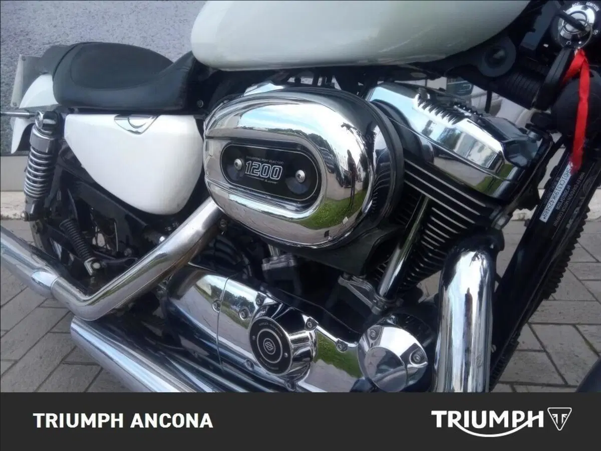 Harley-Davidson 1200 Low (2008 - 09) - XL 1200L (11)