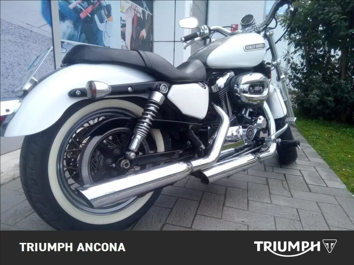 Harley-Davidson 1200 Low (2008 - 09) - XL 1200L (13)