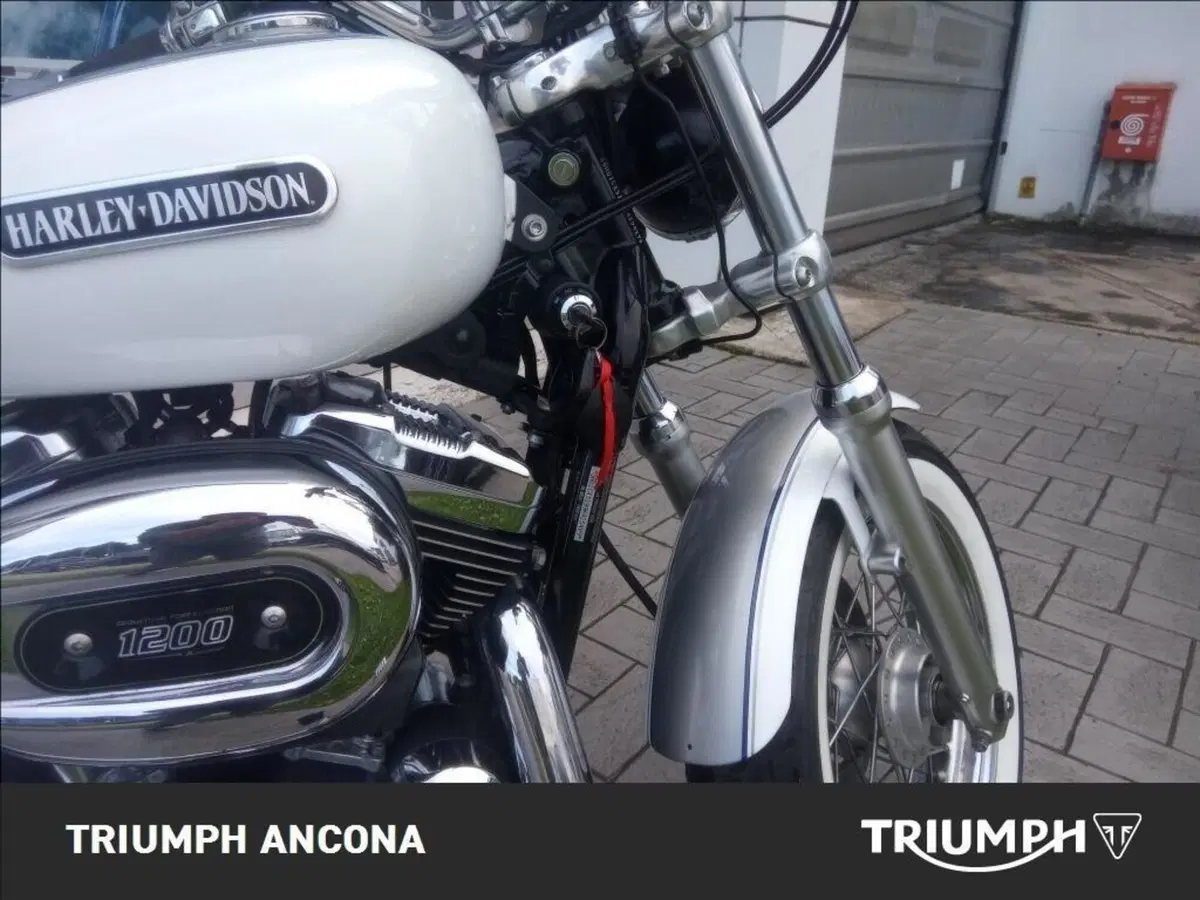 Harley-Davidson 1200 Low (2008 - 09) - XL 1200L (14)