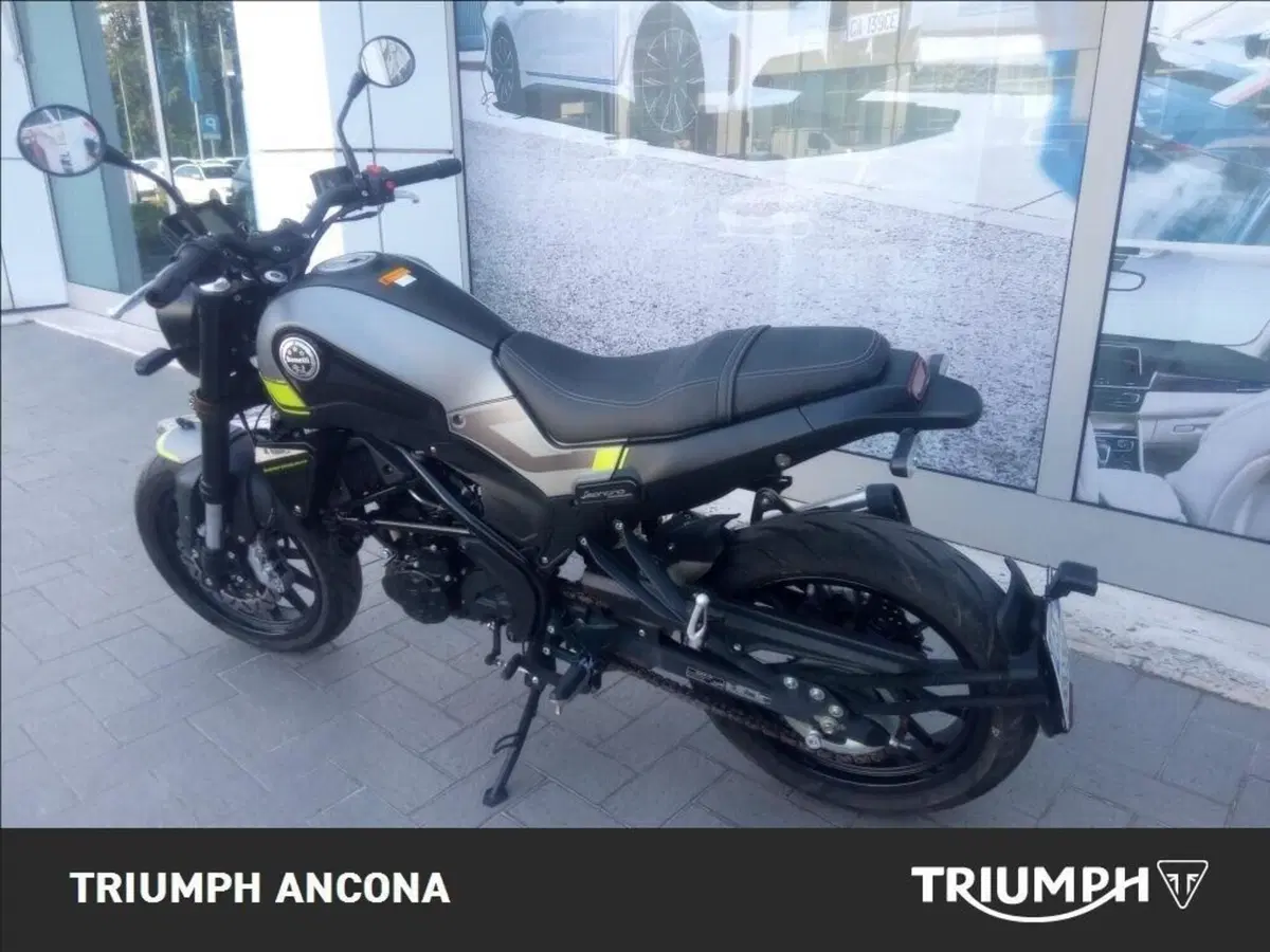 Benelli Leoncino 250 (2019 - 20) (3)