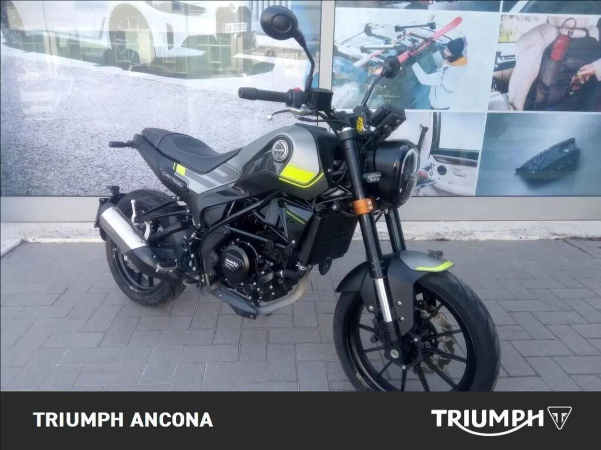 Benelli Leoncino 250 (2019 - 20) (5)
