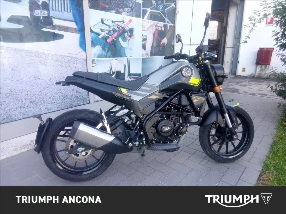 Benelli Leoncino 250 (2019 - 20) (6)