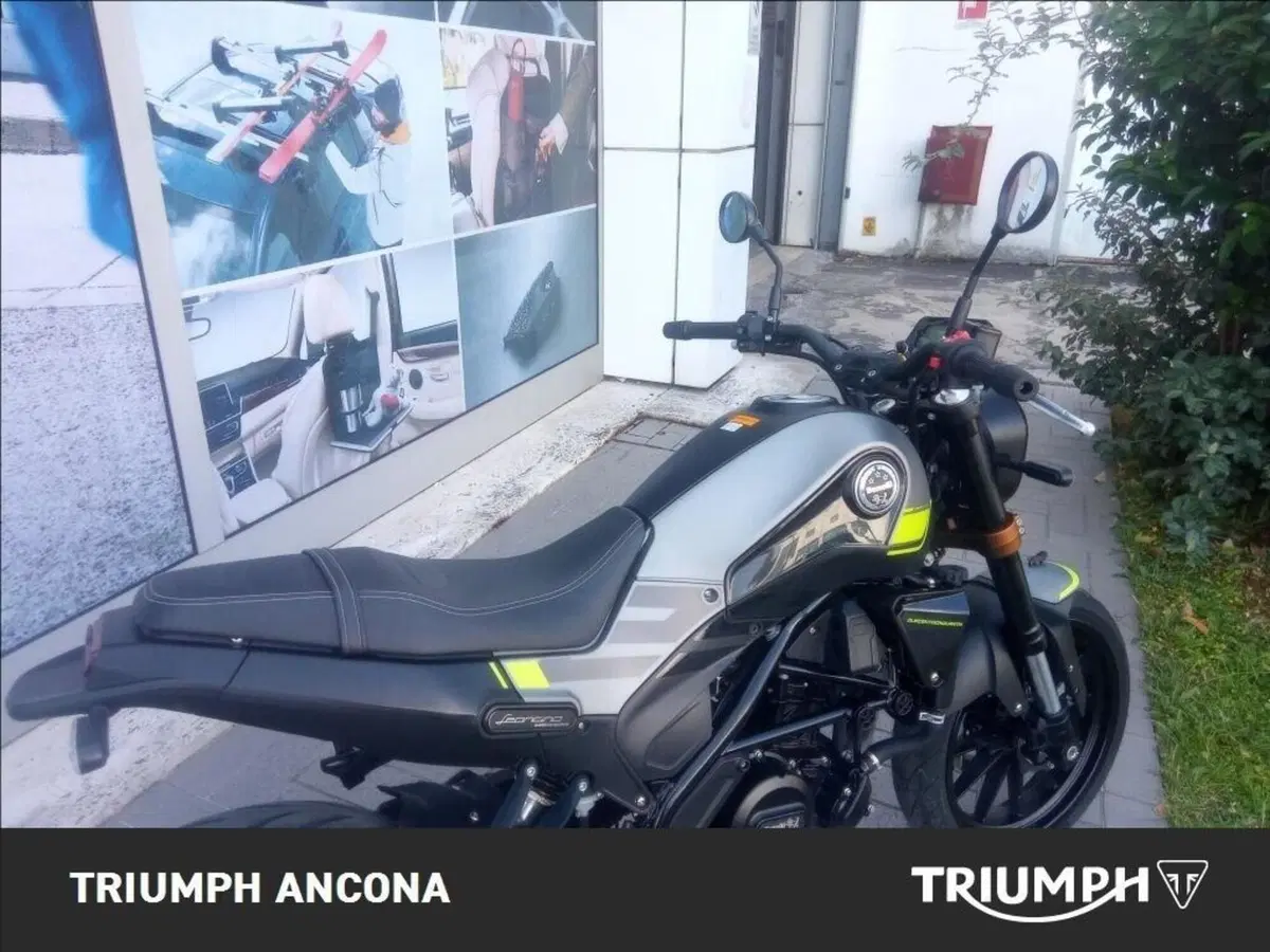 Benelli Leoncino 250 (2019 - 20) (7)