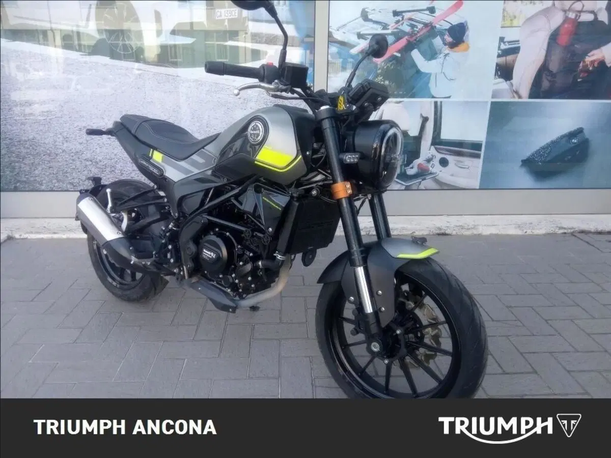 Benelli Leoncino 250 (2019 - 20) (8)