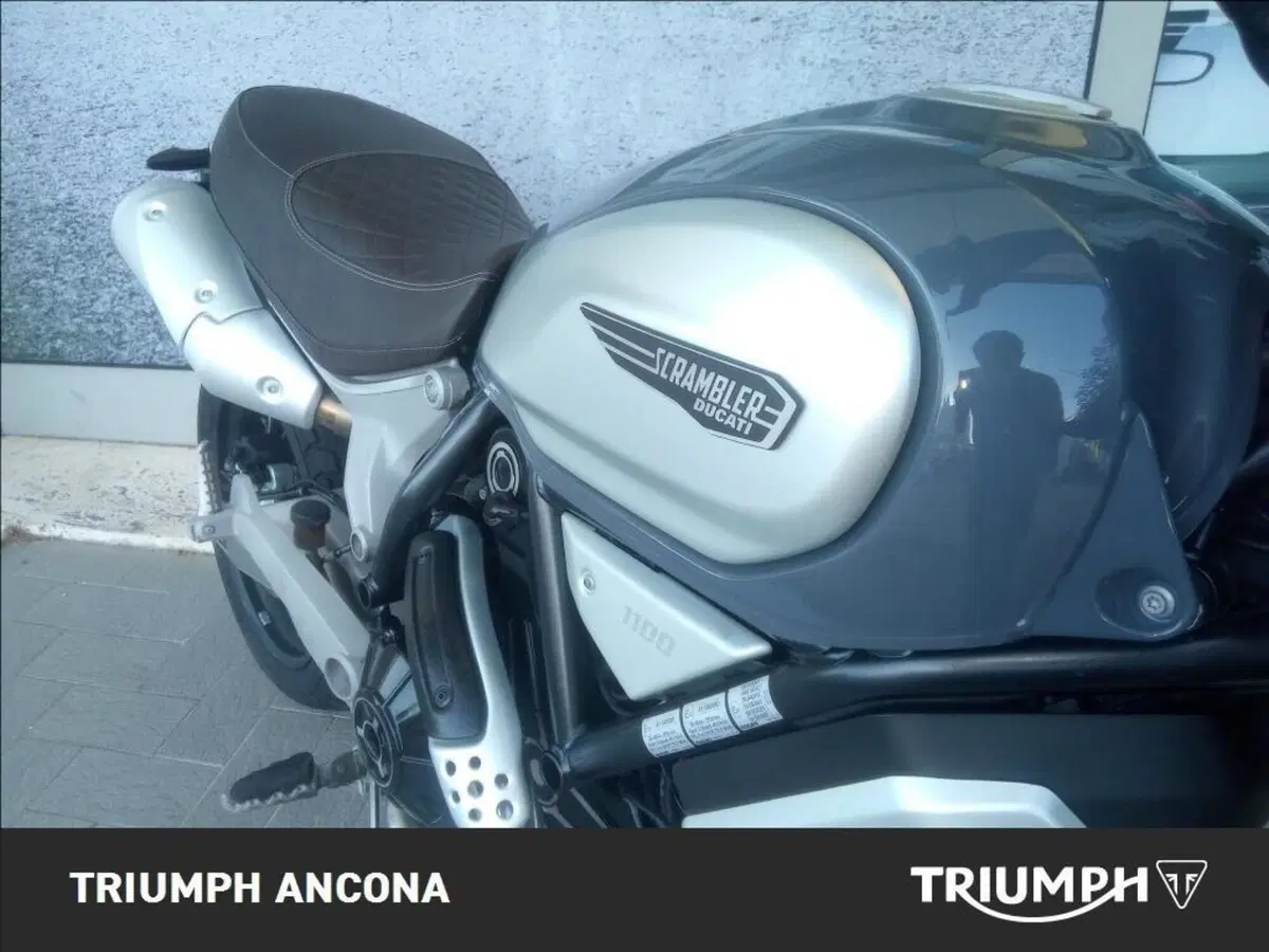 Ducati Scrambler 1100 Special (2018 - 20) (9)