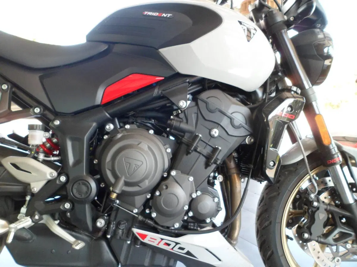Triumph Trident 800 (2026) (7)