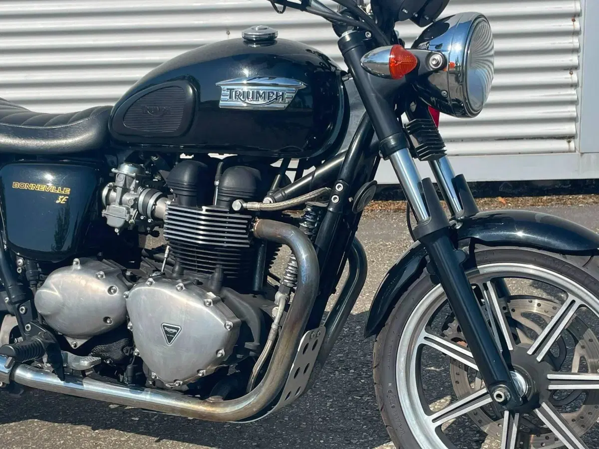 Triumph Bonneville SE (2009 - 13) (3)