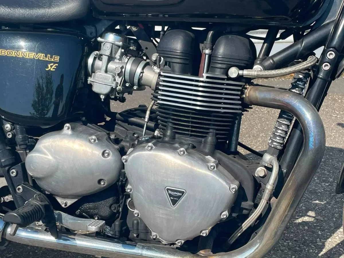 Triumph Bonneville SE (2009 - 13) (4)