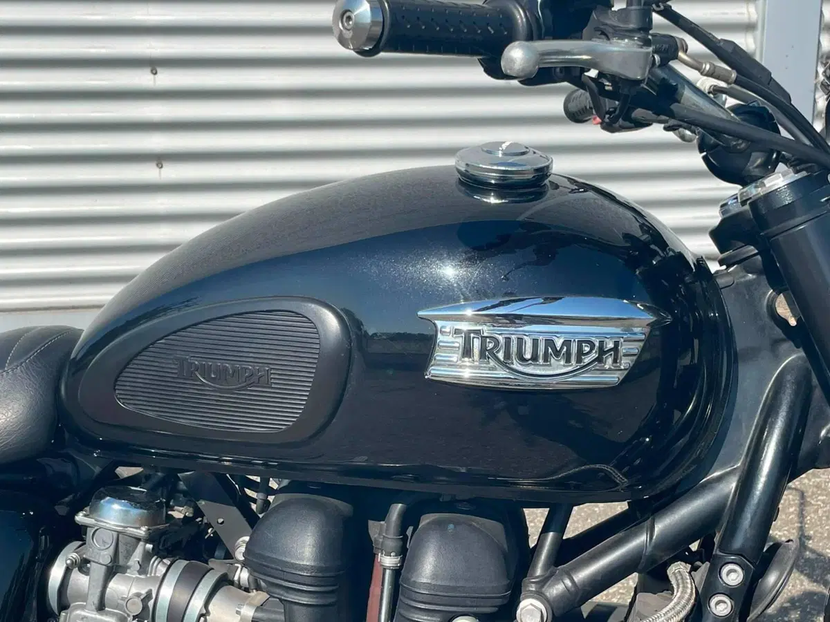 Triumph Bonneville SE (2009 - 13) (5)