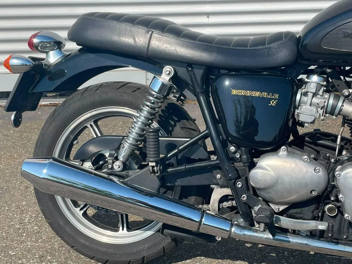 Triumph Bonneville SE (2009 - 13) (6)