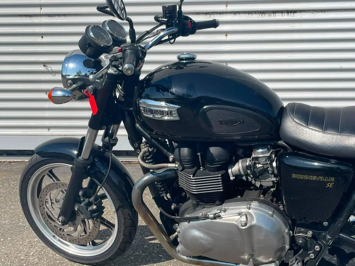 Triumph Bonneville SE (2009 - 13) (8)