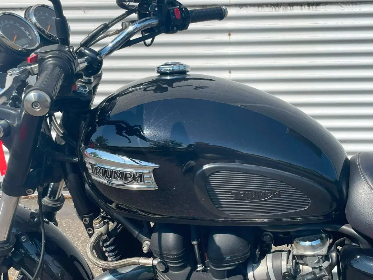 Triumph Bonneville SE (2009 - 13) (12)