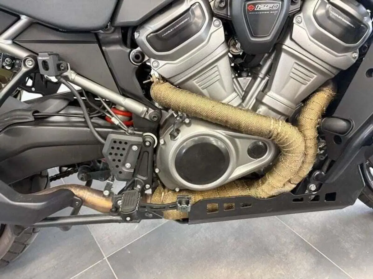 Harley-Davidson Pan America 1250 Special (2020 - 25) (13)