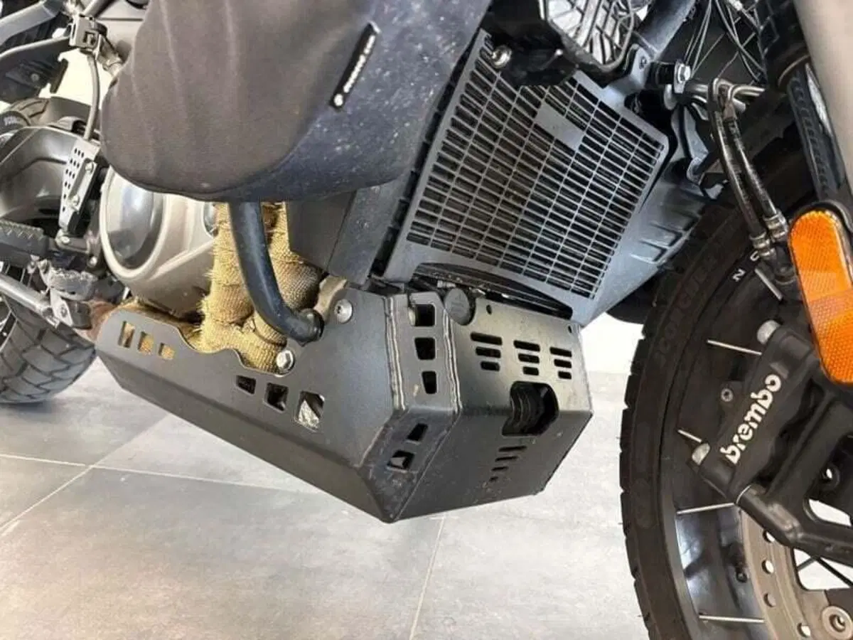 Harley-Davidson Pan America 1250 Special (2020 - 25) (14)