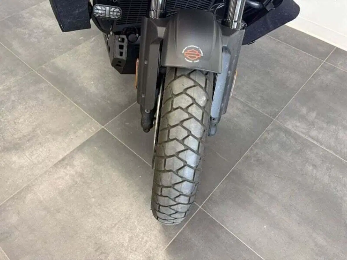 Harley-Davidson Pan America 1250 Special (2020 - 25) (8)