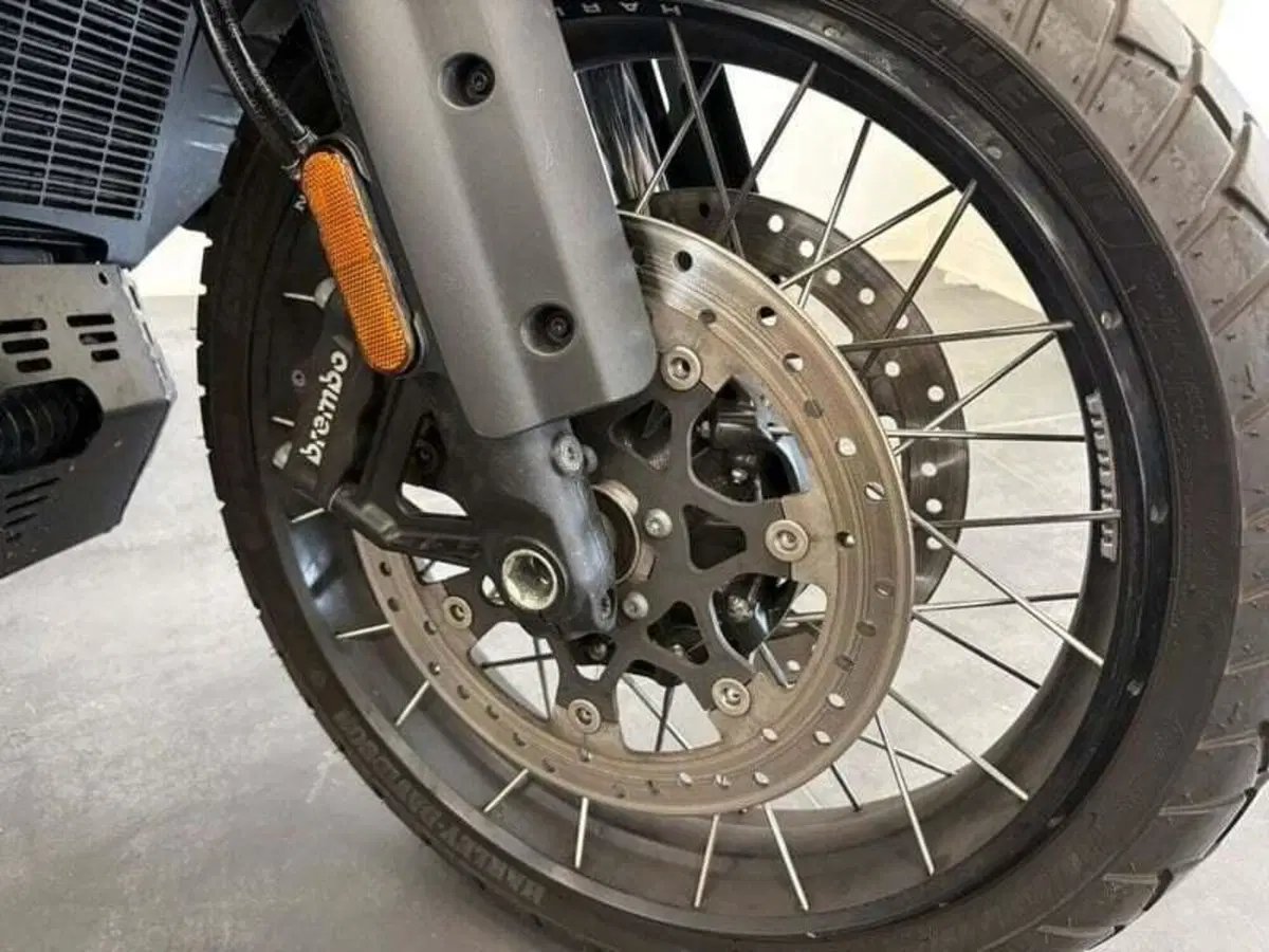 Harley-Davidson Pan America 1250 Special (2020 - 25) (15)