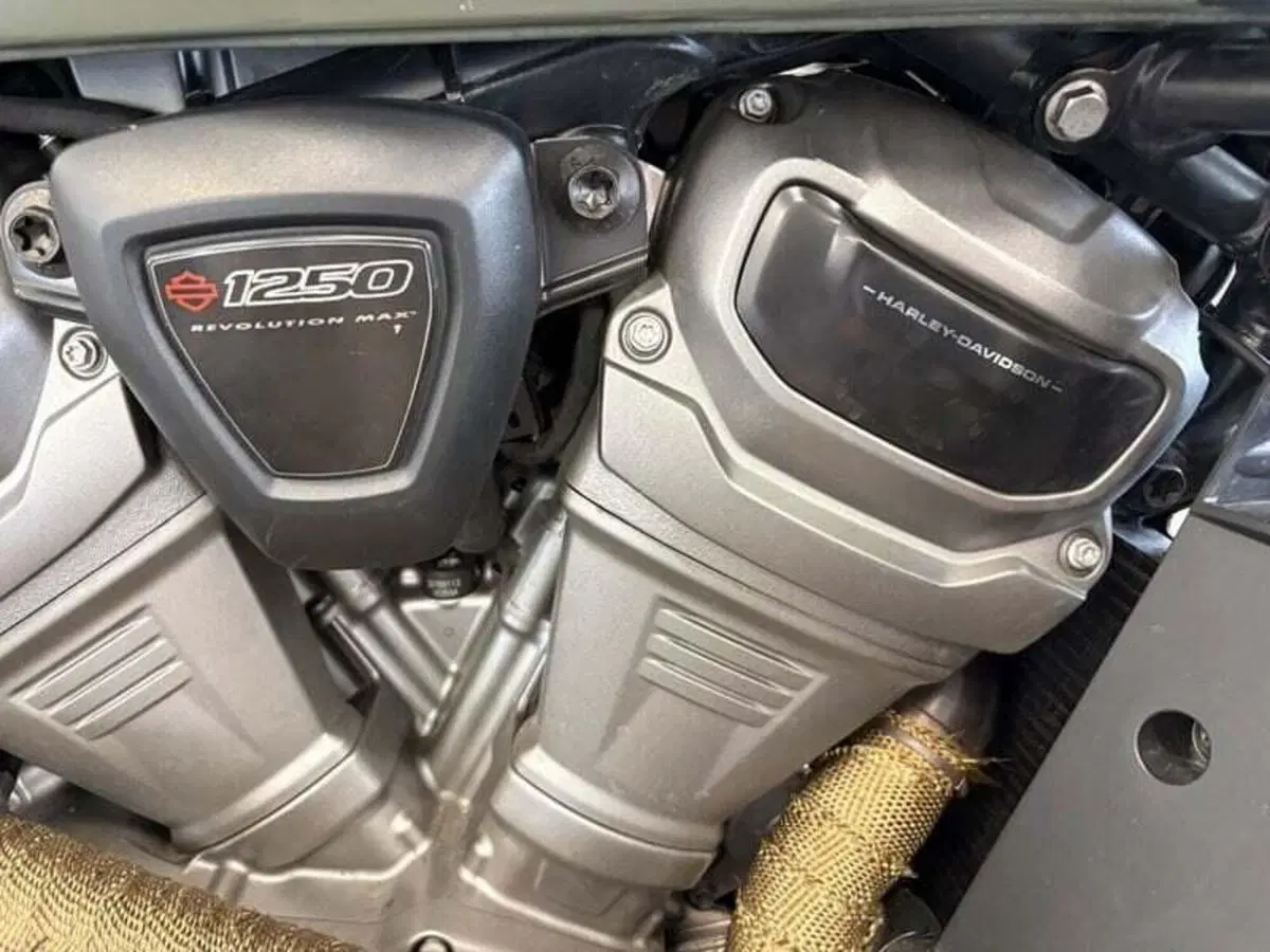 Harley-Davidson Pan America 1250 Special (2020 - 25) (9)