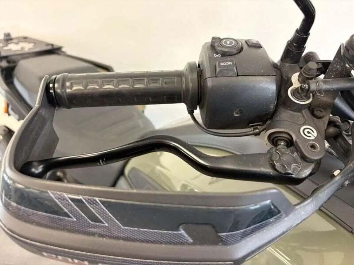 Harley-Davidson Pan America 1250 Special (2020 - 25) (16)