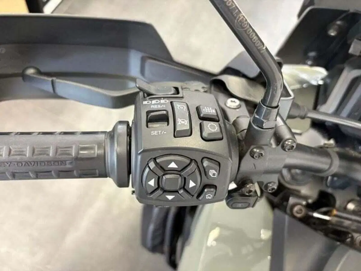 Harley-Davidson Pan America 1250 Special (2020 - 25) (17)
