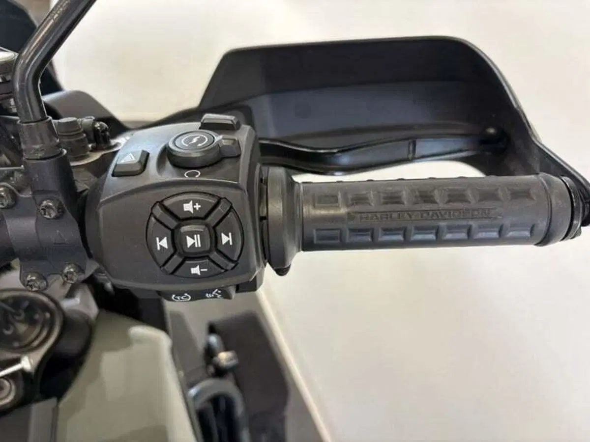 Harley-Davidson Pan America 1250 Special (2020 - 25) (18)