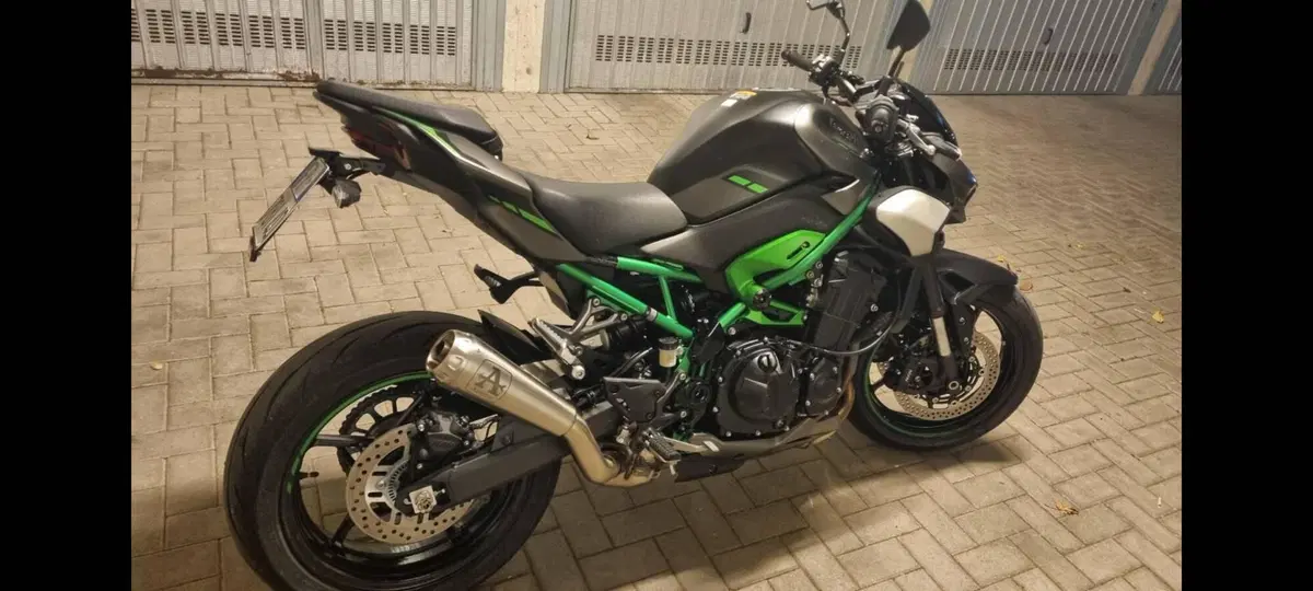 Kawasaki Z 900 (2025 - 26)