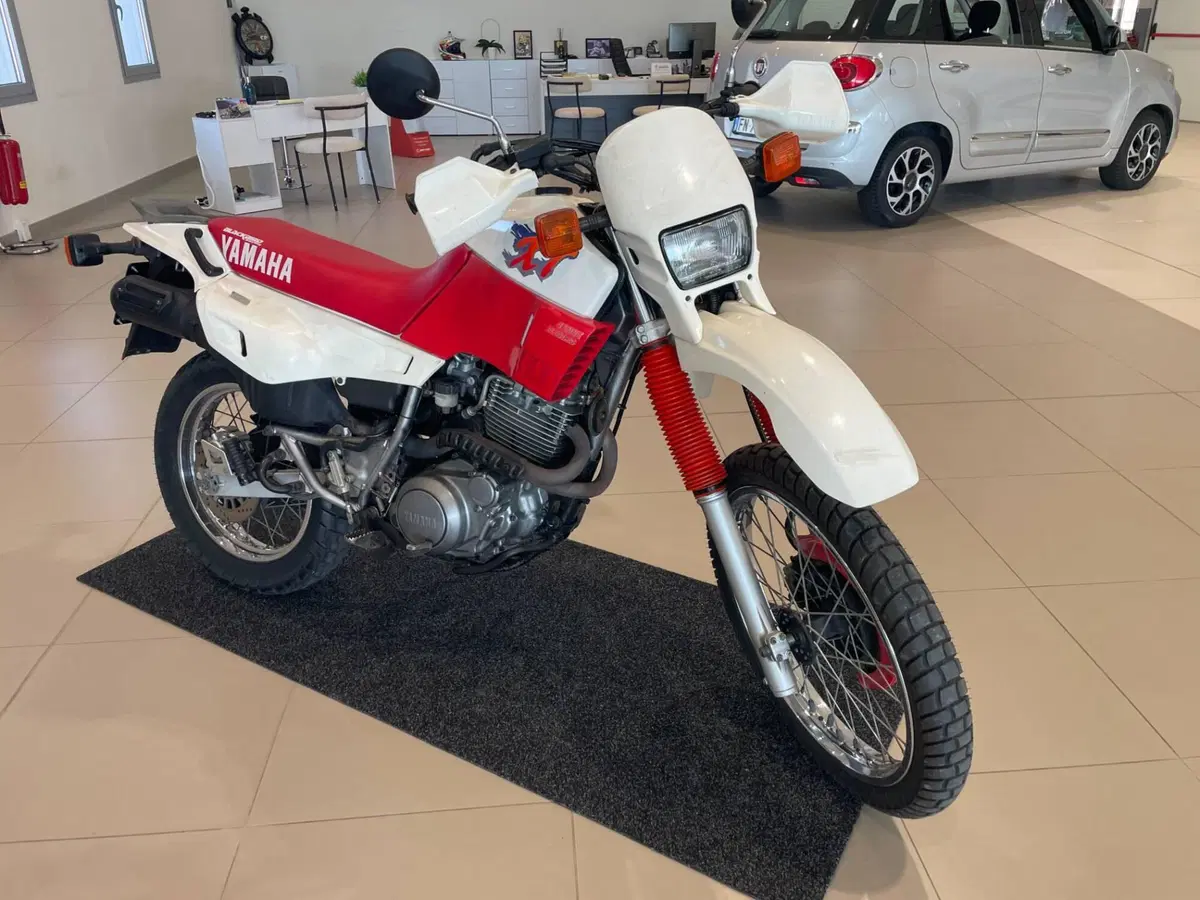 Yamaha XT 600 E (1990 - 04) (6)