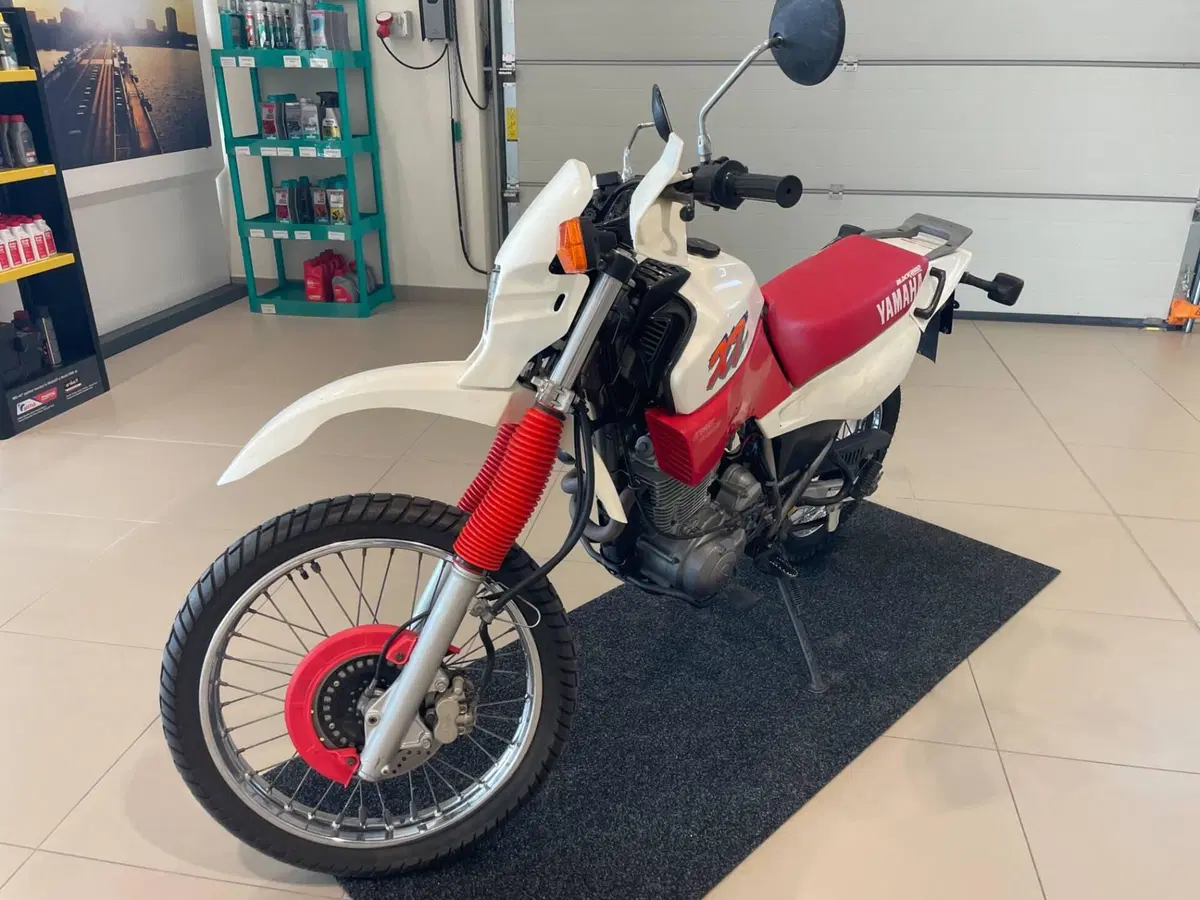 Yamaha XT 600 E (1990 - 04) (7)