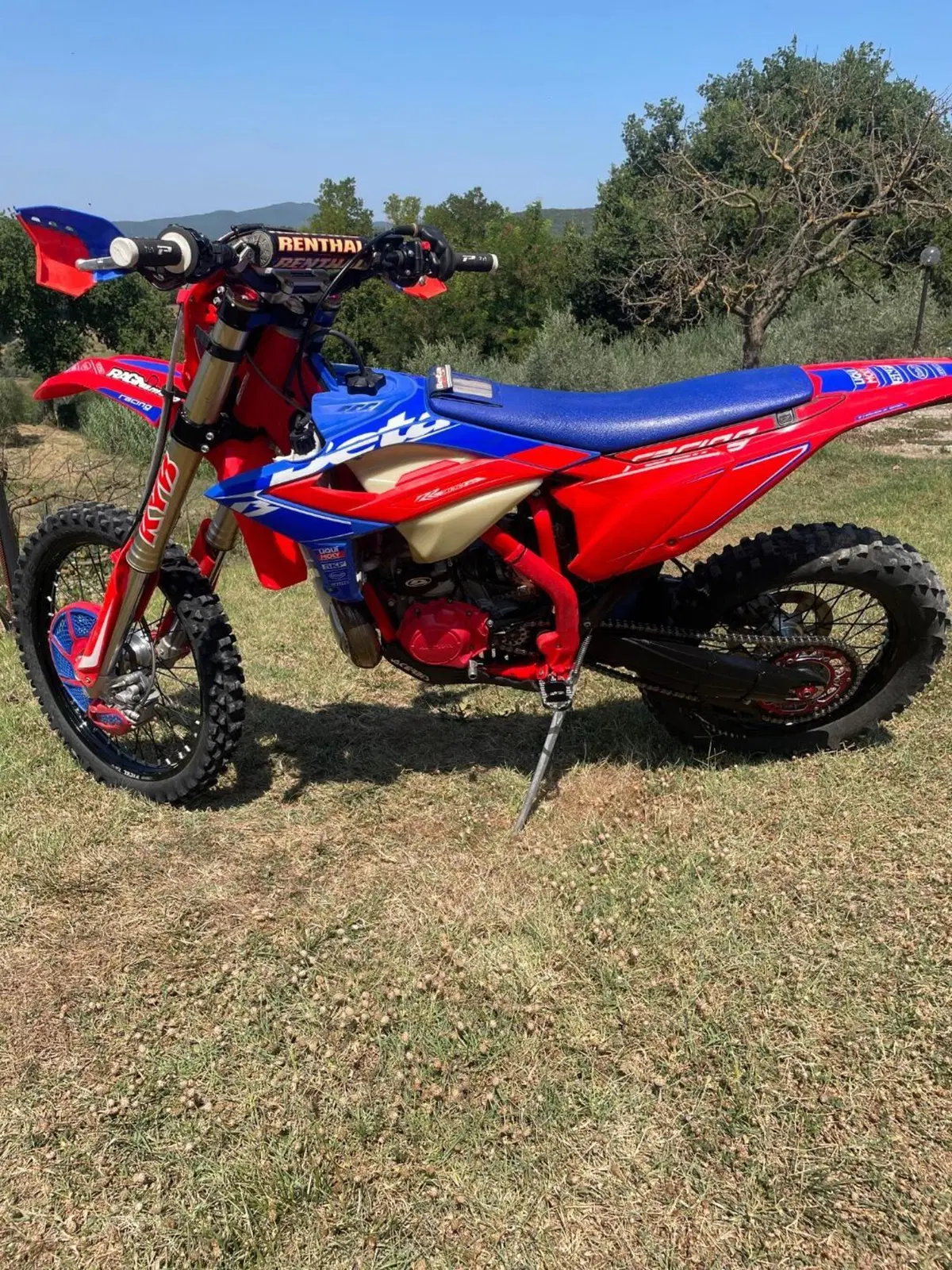 Betamotor RR 300 2T Enduro Racing (2023) (3)