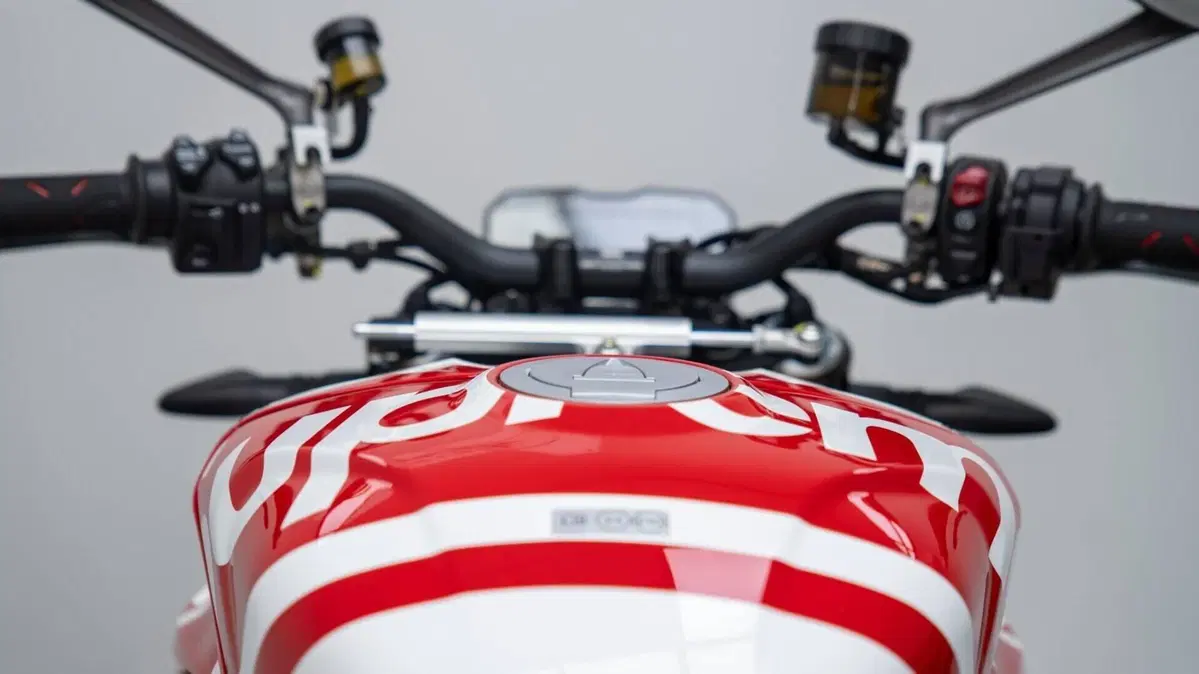 Ducati Streetfighter V4 (2023 - 24) (19)