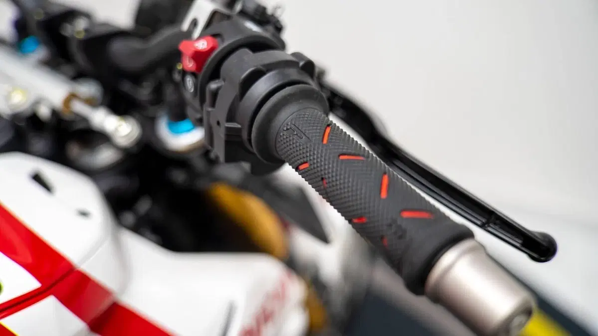 Ducati Streetfighter V4 (2023 - 24) (18)