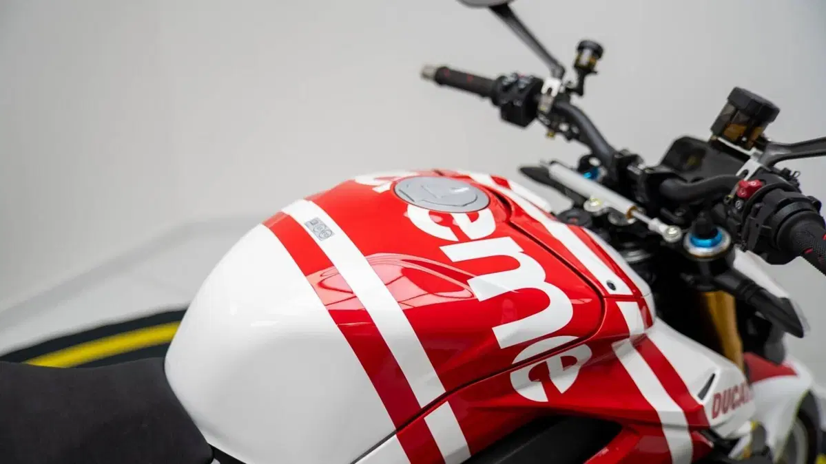Ducati Streetfighter V4 (2023 - 24) (17)