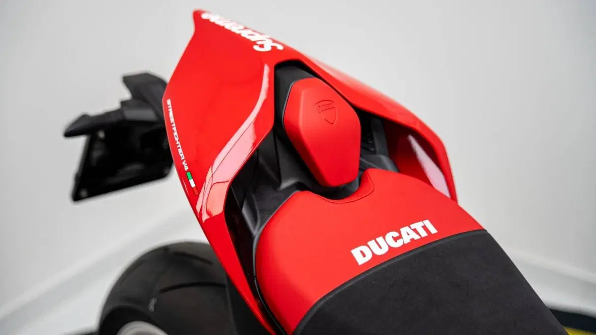 Ducati Streetfighter V4 (2023 - 24) (11)