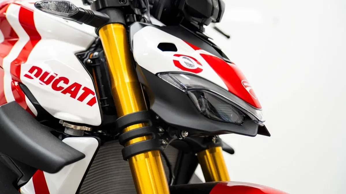 Ducati Streetfighter V4 (2023 - 24) (10)