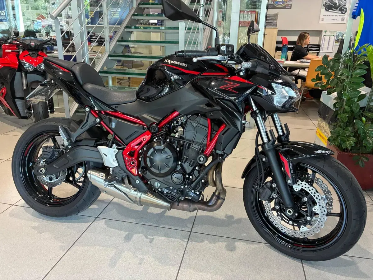 Kawasaki Z 650 (2025 - 26) (3)