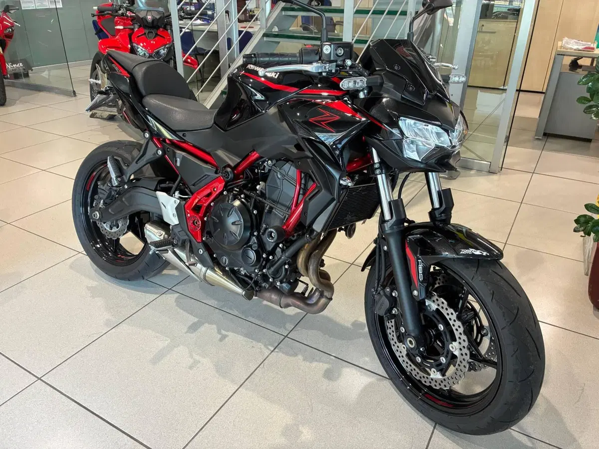 Kawasaki Z 650 (2025 - 26) (4)