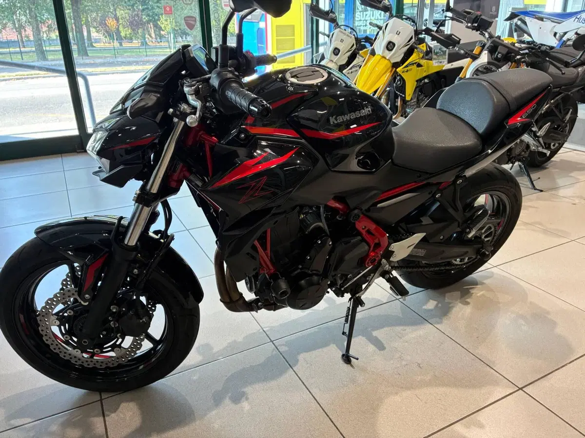 Kawasaki Z 650 (2025 - 26) (7)