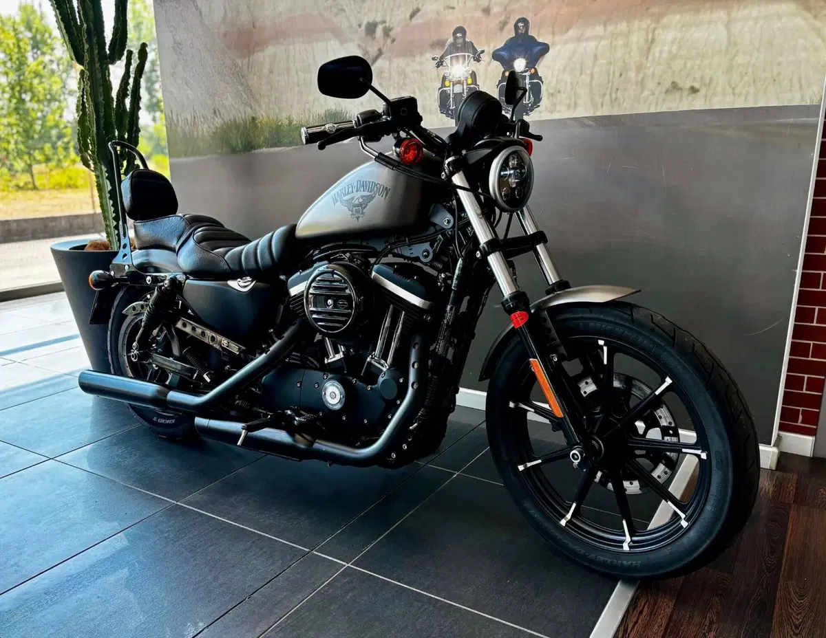 Harley-Davidson 883 Iron (2017 - 20) - XL 883N (2)